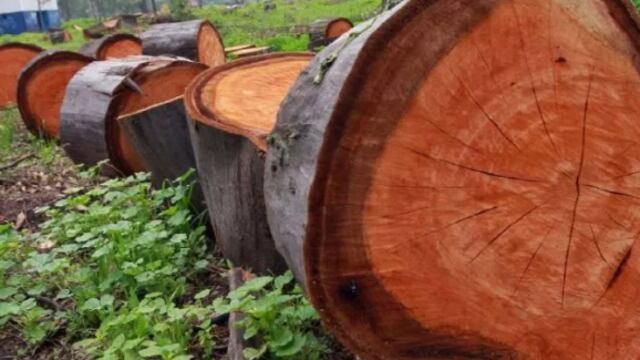 Dañando el medio ambiente y la vida de la demarcación.