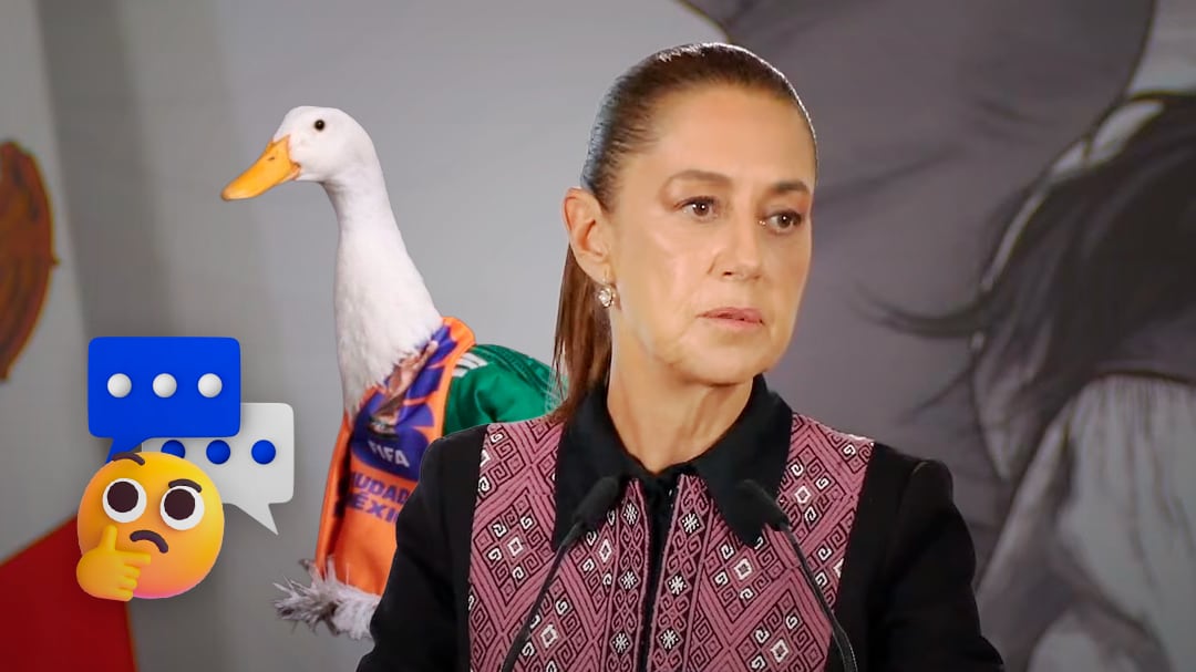 Sheinbaum explica por qué invitó al pato Merlín a la mañanera