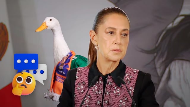 Claudia Sheinbaum revela porqué invitó al pato Merlín a la Mañanera