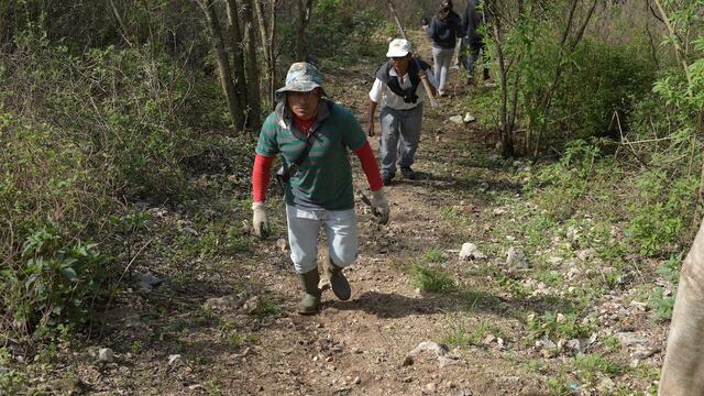 Bosque en Chiapas. (Foto representativa)