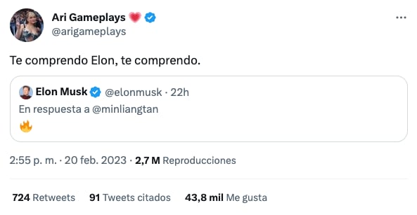Elon Musk coqueteó con Ari Gameplays y no es broma