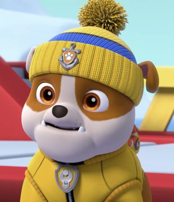 Imágenes que demuestran que raza es Rubble de Paw Patrol