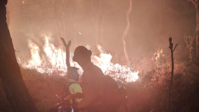 Incendio en Bosque La Primavera, en Zapopan, Jalisco
