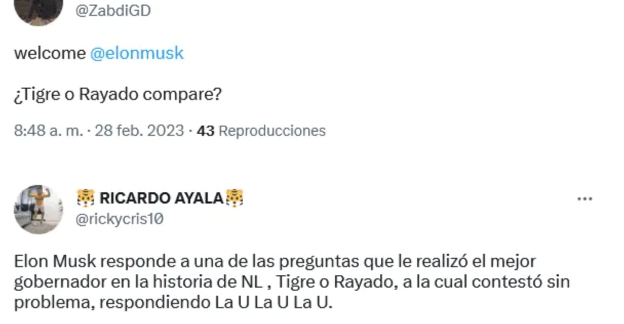 Elon Musk: ¿Tigre o Rayado?