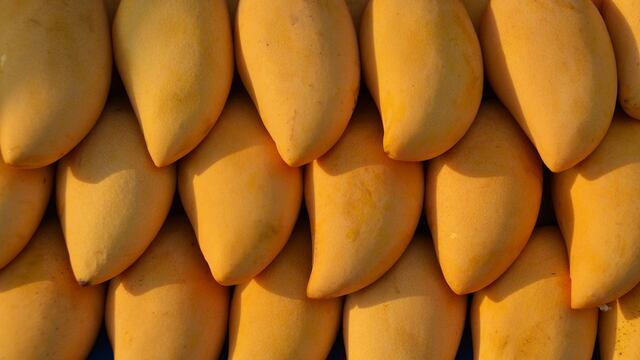 Mango