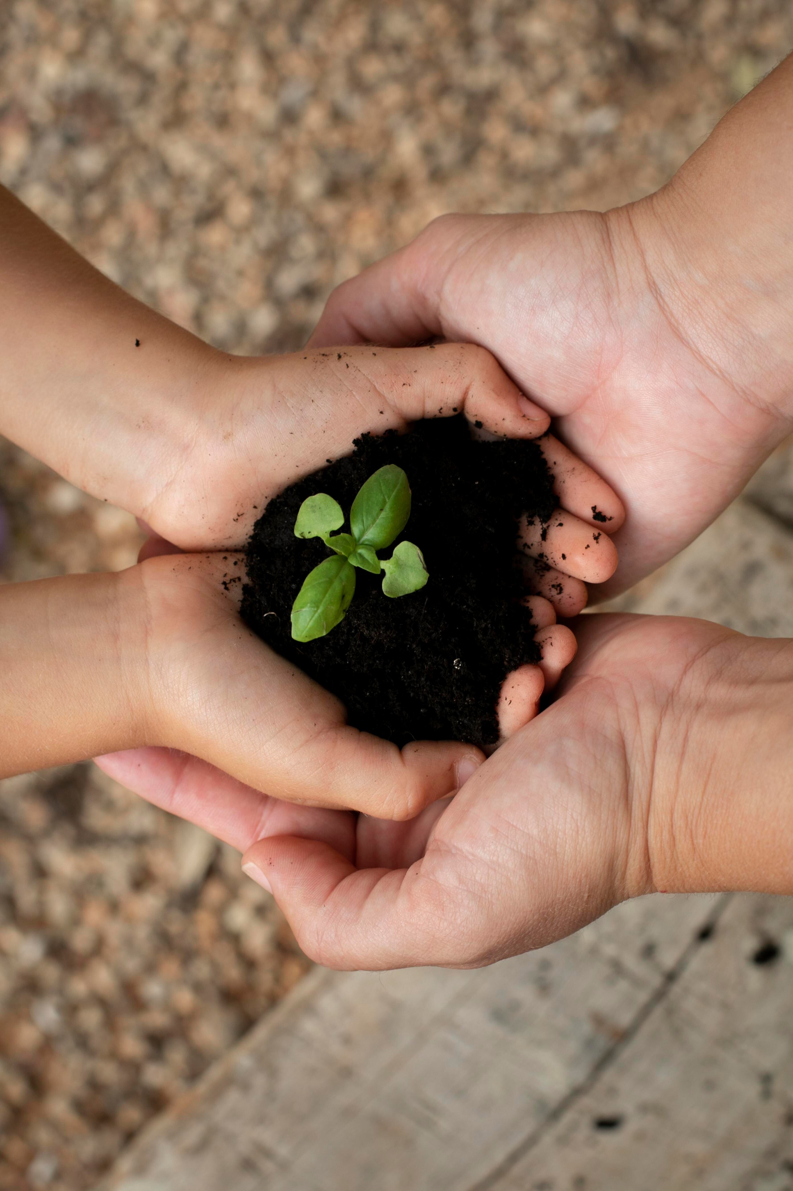 5 de junio, Día Mundial del Medio Ambiente