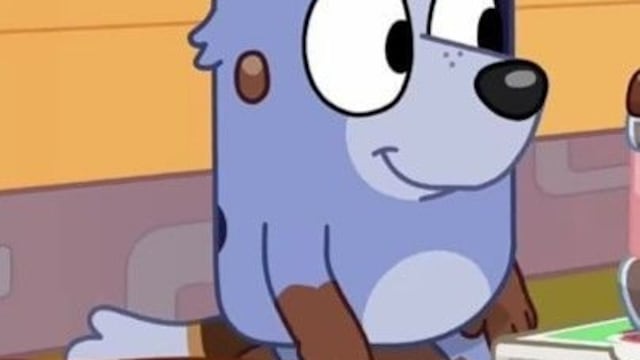 Fondos de pantalla de Socks, la prima chiquita de Bluey