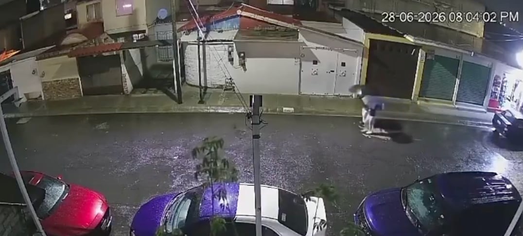 Brenda Michel murió atropellada en Tecámac