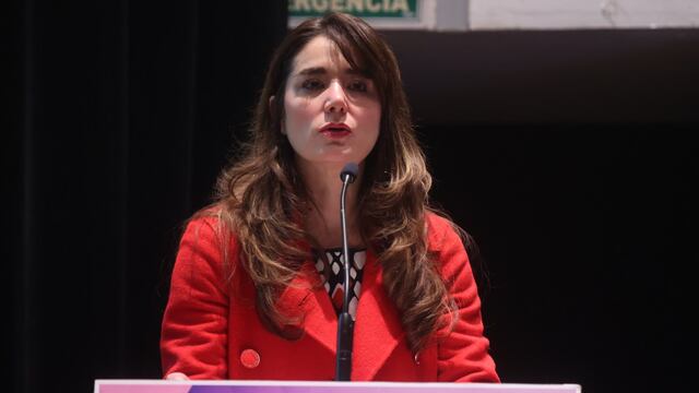 Dania Ravel asegura que INE enfrentará grandes conflictos por elecciones 2025.