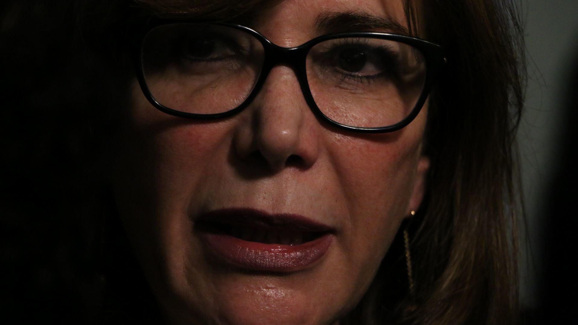 Los despropósitos de la diputada Polevnsky