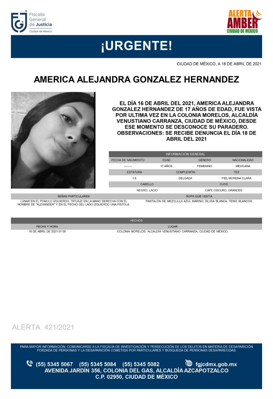Ficha de búsqueda de América