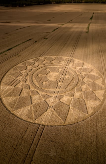 Crop Circle, Jaime Maussan