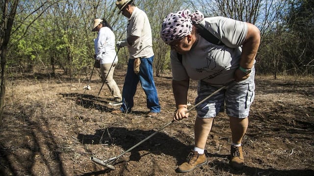 Colectivo de búsqueda en fosa clandestina.