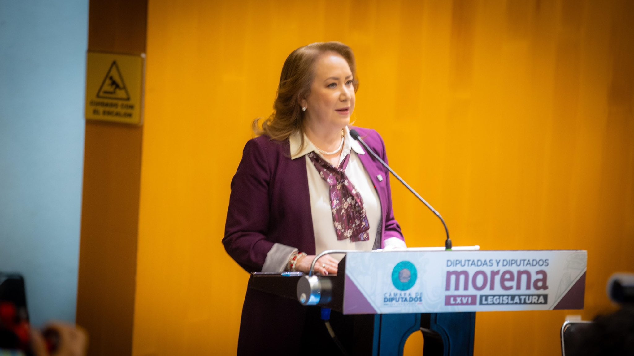 Yasmín Esquivel en la Cámara de Diputados