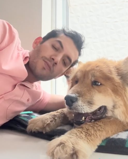 TikToker comparte los últimos con su perrita