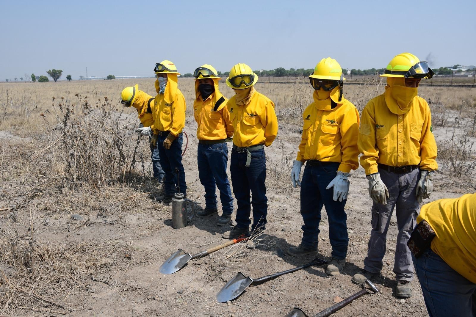 Delfina Gómez endurece acciones de prevención contra incendios forestales provocados