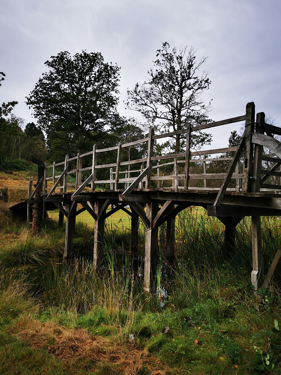 Puente que inspiró 'Winnie the Pooh'