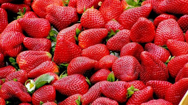 Fresas