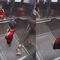 Niño salva a su perro de morir en un elevador (VIDEO)
