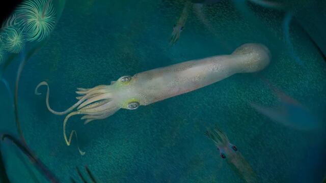 Reconstrucción del pulpo