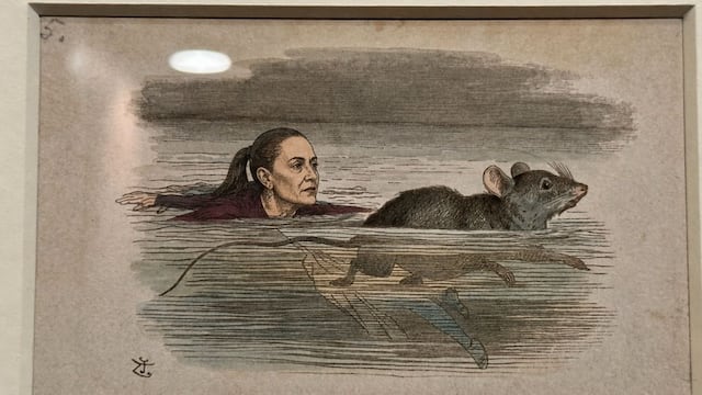 Foto: Verónica Malo