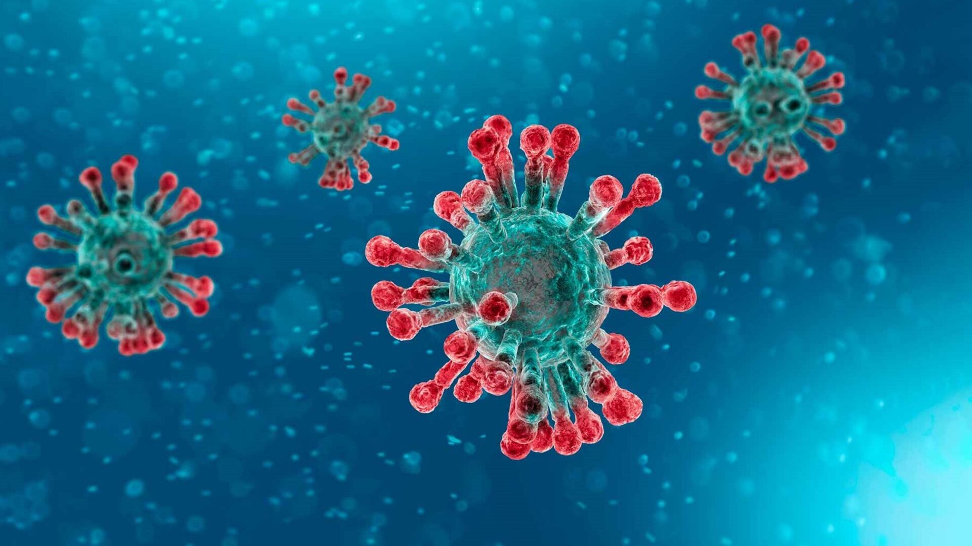 Nuevo coronavirus: Lo que se sabe del HKU5-CoV-2 detectado en China
