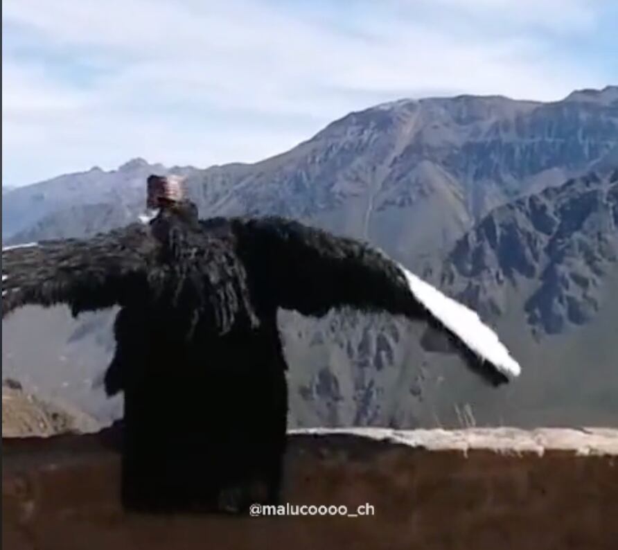Condor-Man