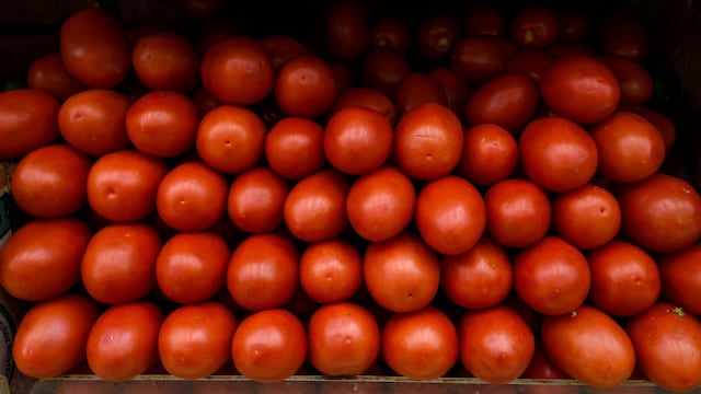 Jitomate en el Estado de México.