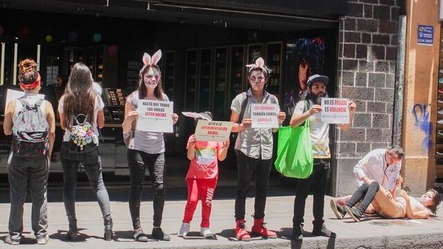 Protesta vs el maltrato animal.