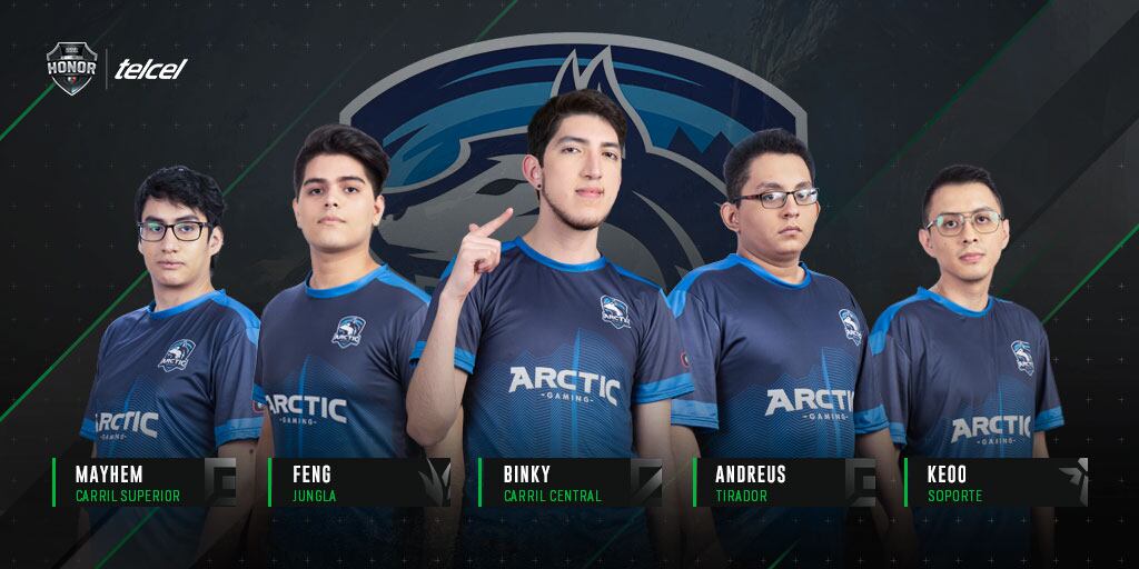 Arctic Gaming 2020