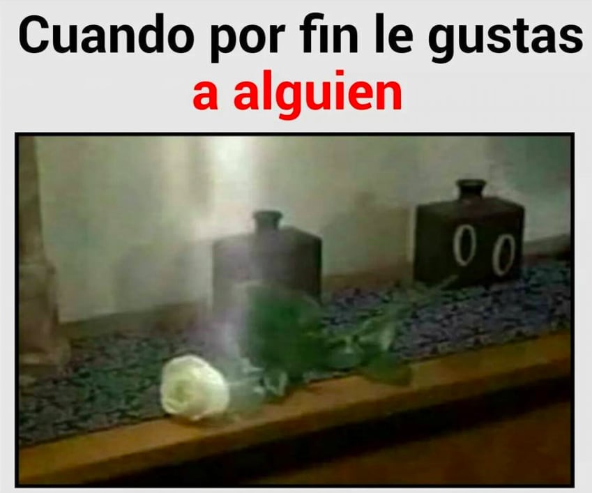 La Rosa de Guadalupe aún genera los mejores memes