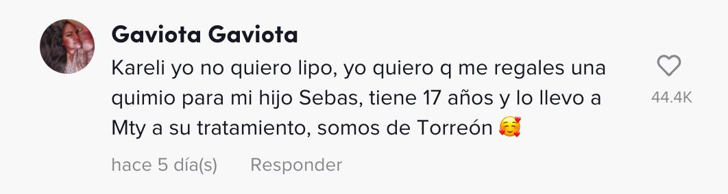 Karely Ruiz