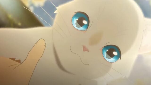 Gatita se enamora de un ser humano. Película