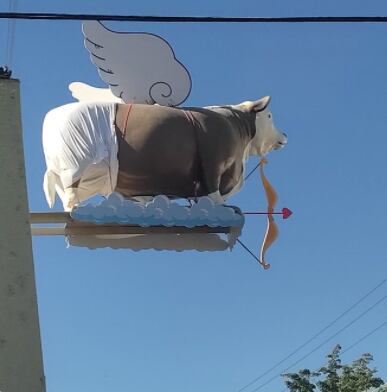 Vaquita de Aramburo