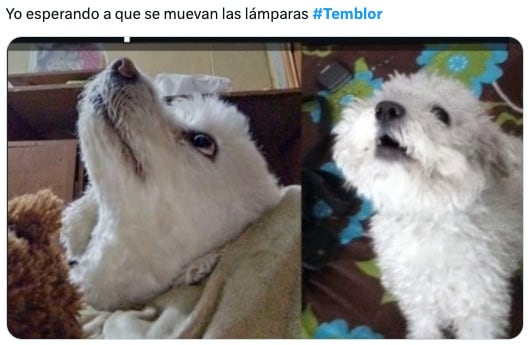 Memes de la Alerta Sísmica de este 2 de agosto