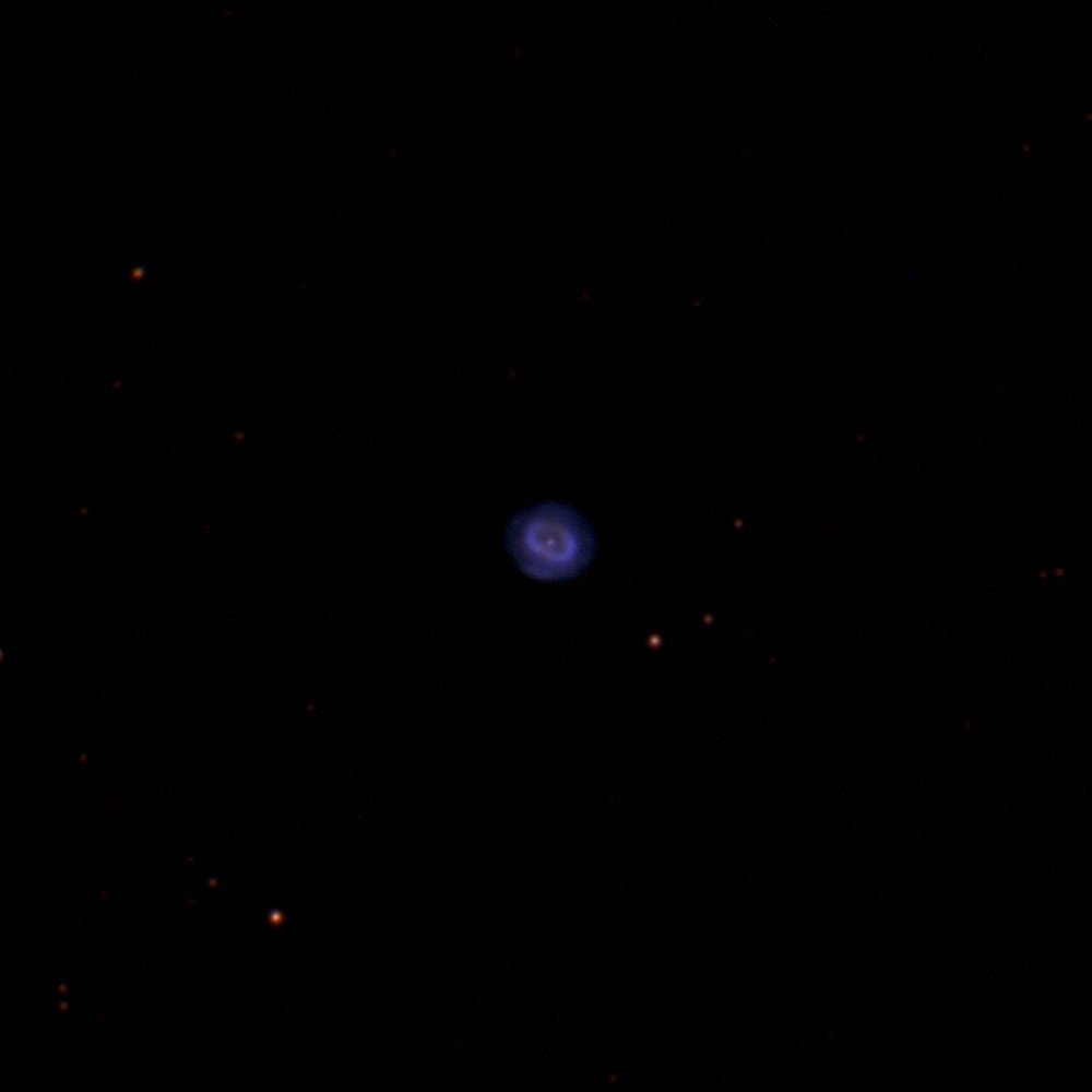 "Blue Snowball"
