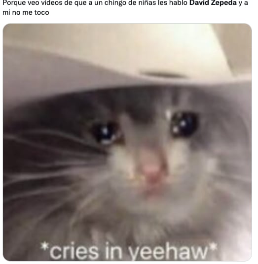 Memes de David Zepeda