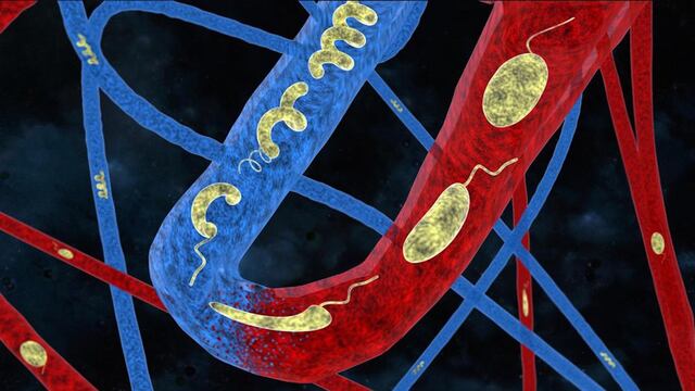 Los robots microscópicos de la Escuela Politécnica Federal de Lausana.