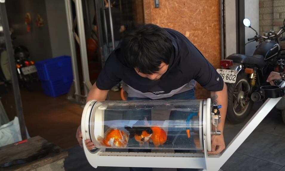 Youtuber diseña acuario para sacar a pasear a sus peces