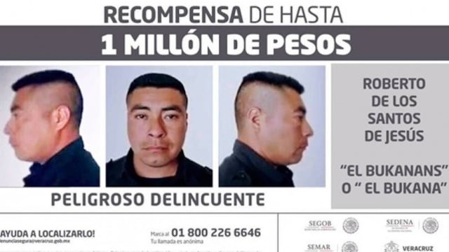 Captura de Roberto De los Santos de Jesús “el Bukanas”