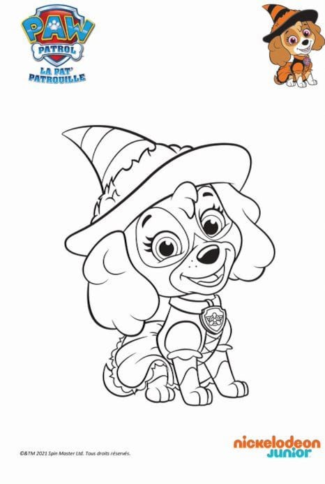 Dibujos de Skye brujita de Paw Patrol para colorear por Halloween
