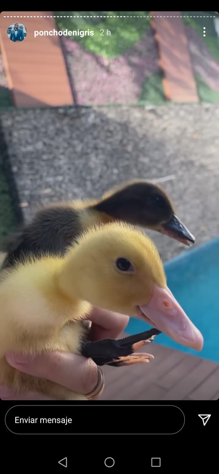 Historia de Instagram