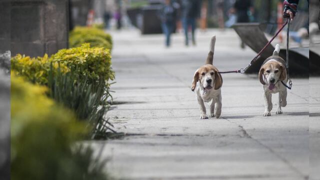 Foto: Diego Simón Sánchez, Cuartoscuro