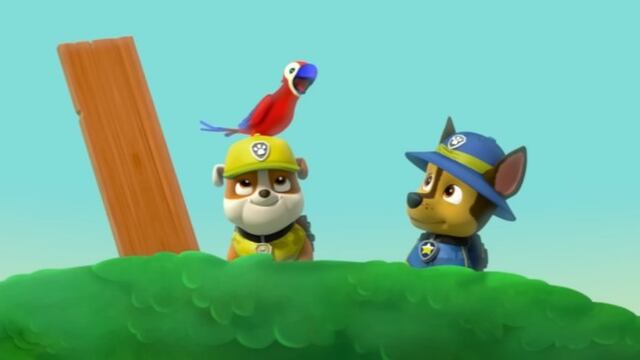 Rescates de Paw Patrol en la selva
