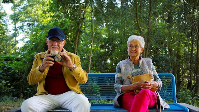 El 28 de agosto se celebra el Día del Abuelo