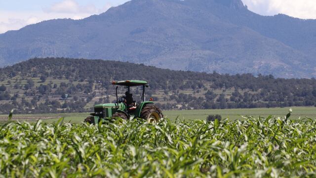Campo mexicano. Solicitudes al nuevo gobierno.
