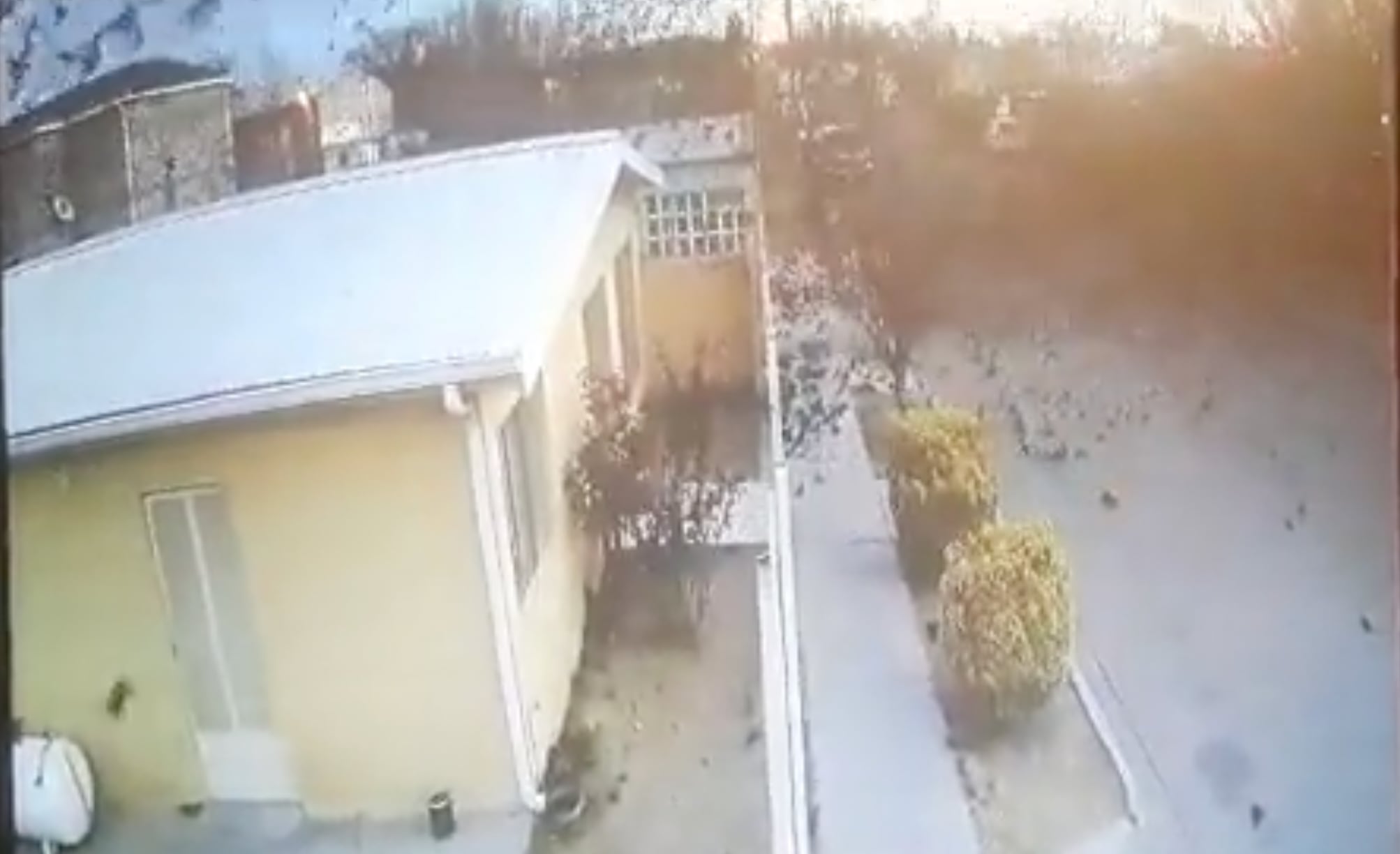 Cientos de aves mueren en Chihuahua