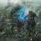 Godzilla Minus One sabe de su éxito y se postula a las nominaciones de los Premios Oscar 2024