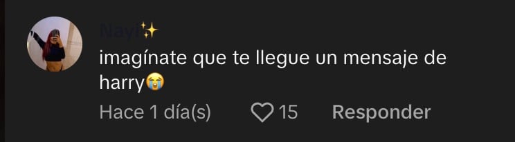 Comentarios a chica que recibió mensaje de Harry Styles