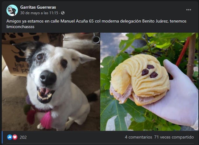 Para ayudar a su refugio, una perrita llamada Any reparte 'lomiconchas'